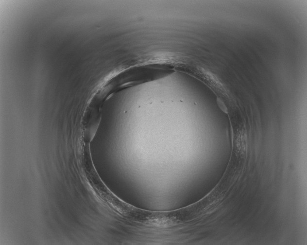 X0000081300540200701181838