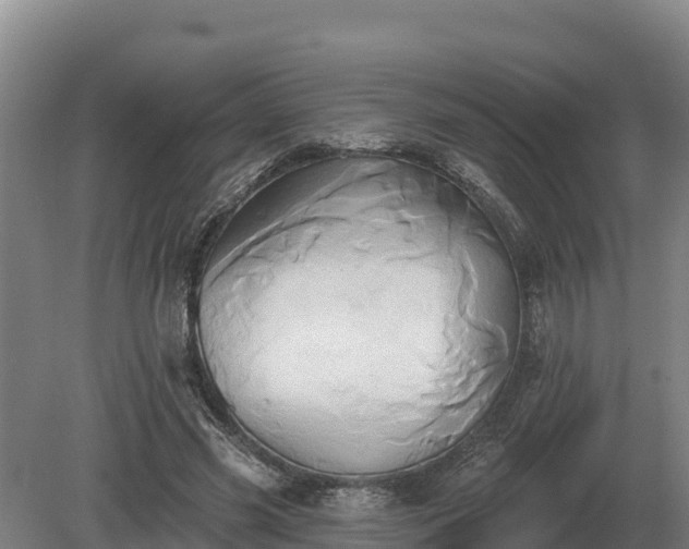 X0000081300541200701181838