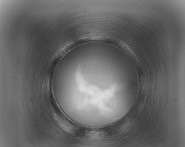 X0000081300542200701181838