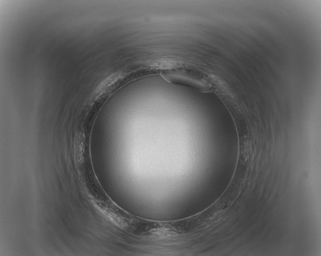 X0000081300544200701181838