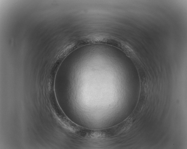 X0000081300546200701181838