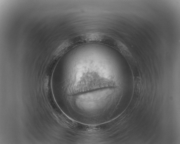 X0000081300550200701181838