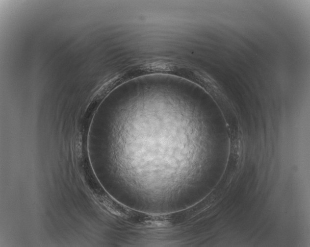 X0000081300552200701181838