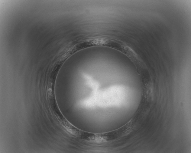 X0000081300553200701181838