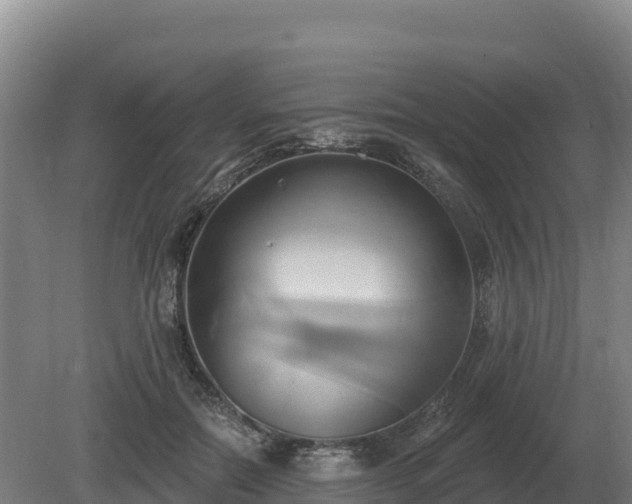 X0000081300554200701181838