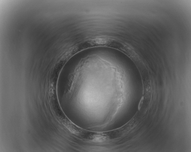 X0000081300555200701181838