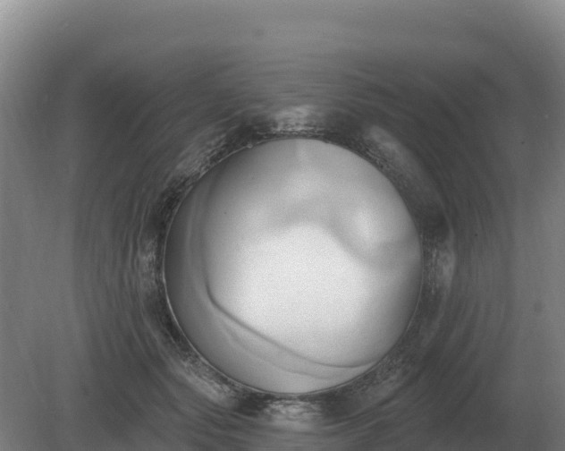 X0000081300557200701181838