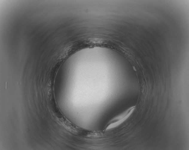 X0000081300559200701181838