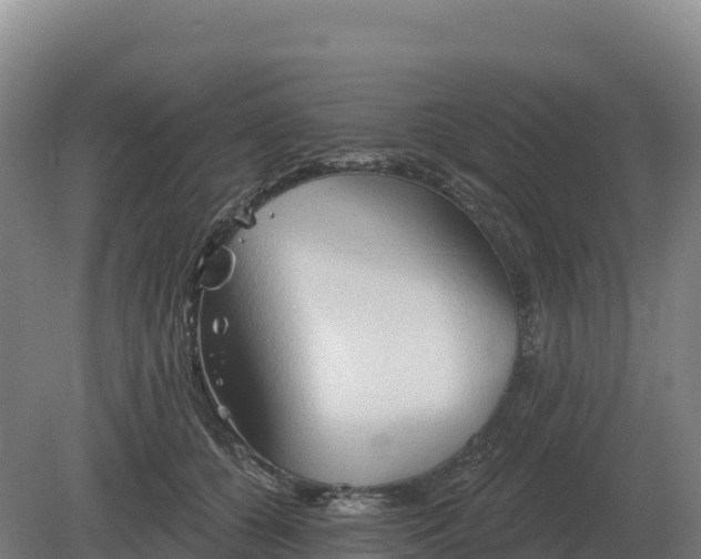 X0000081300560200701181838