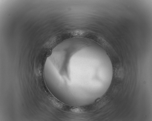 X0000081300561200701181838