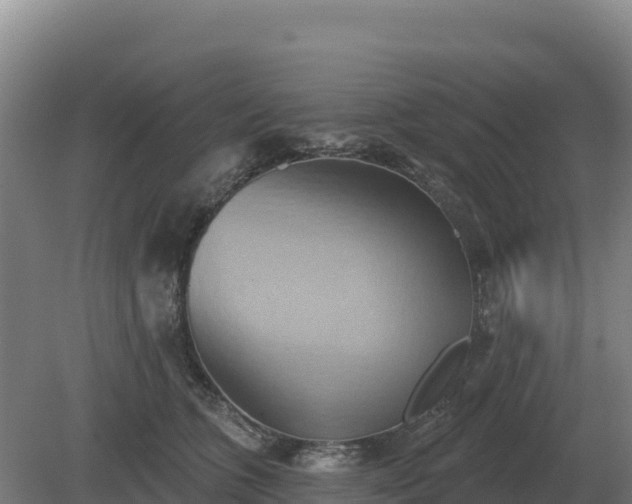 X0000081300563200701181838