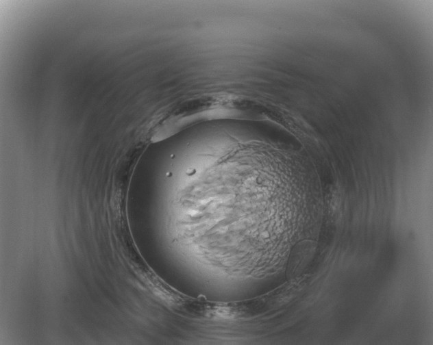 X0000081300565200701181838