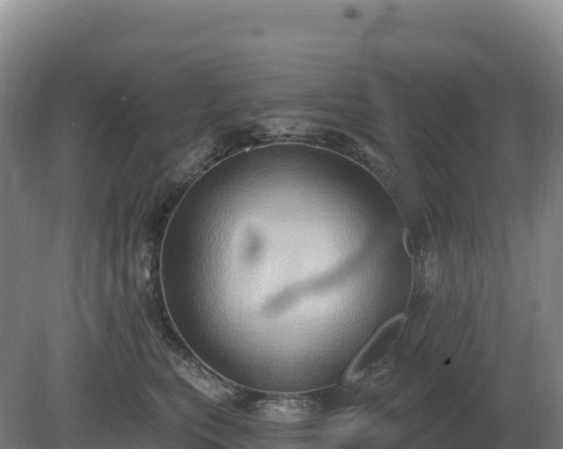 X0000081300567200701181838