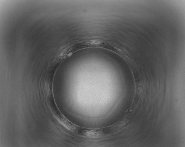 X0000081300568200701181838