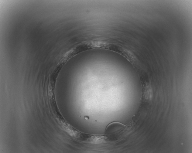 X0000081300569200701181838