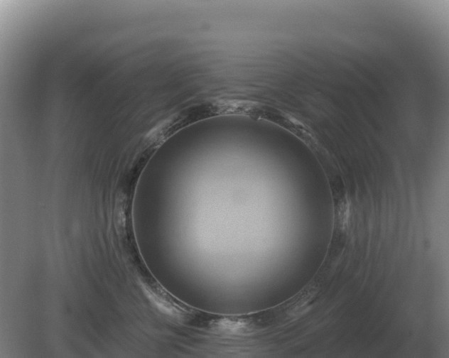 X0000081300570200701181838