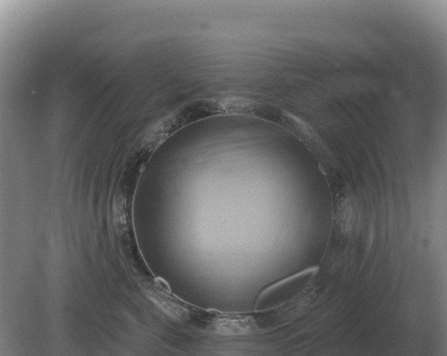 X0000081300571200701181838