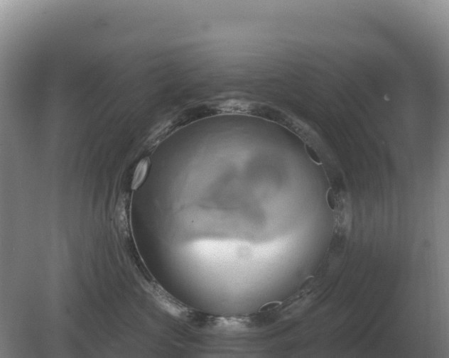 X0000081300573200701181838