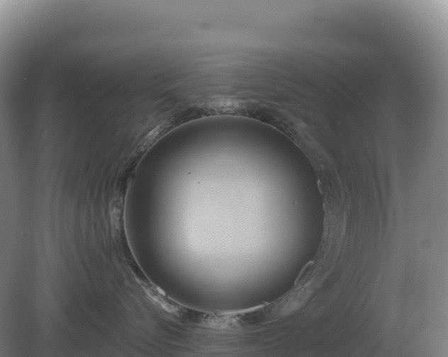 X0000081300576200701181838