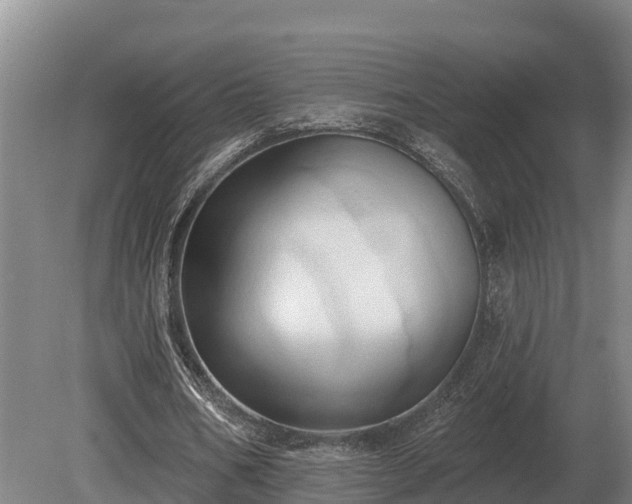 X0000081300578200701181837