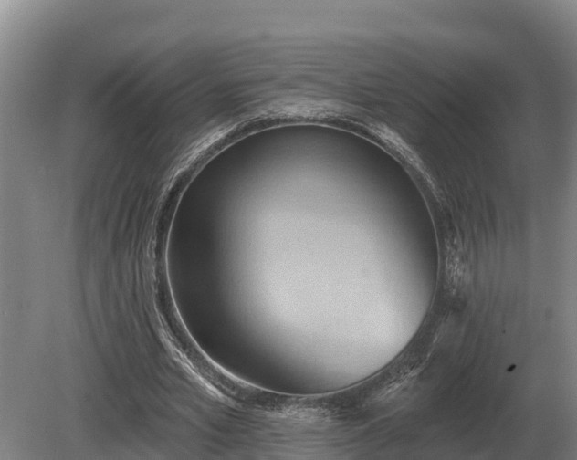 X0000081300581200701181837