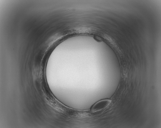 X0000081300583200701181837