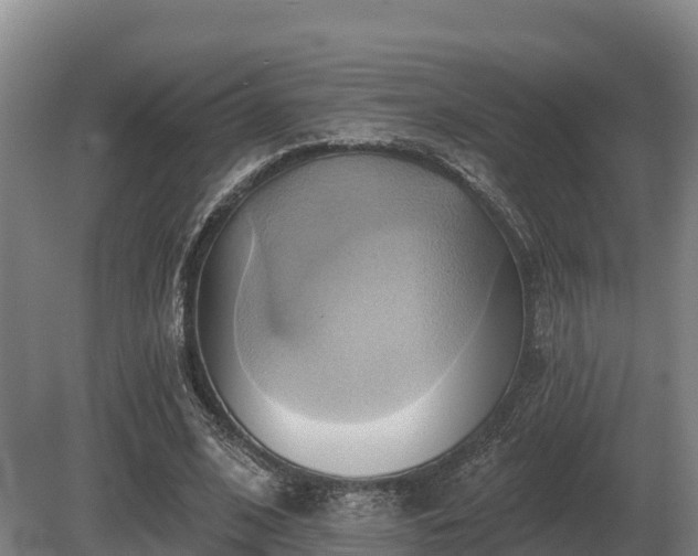 X0000081300584200701181837