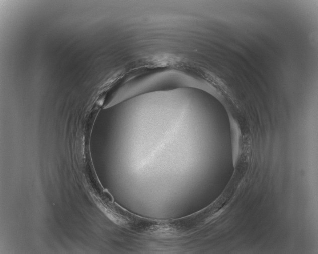 X0000081300589200701181837