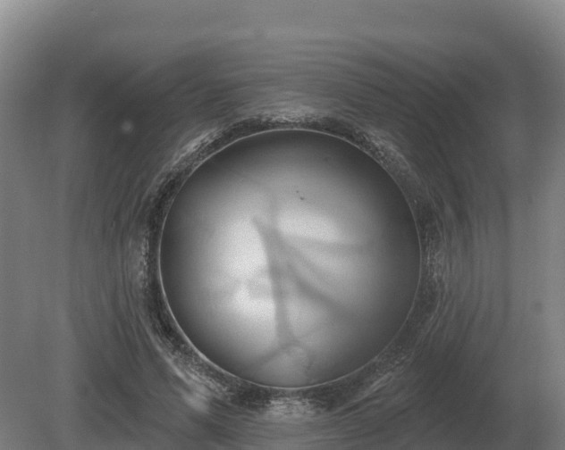 X0000081300591200701181837