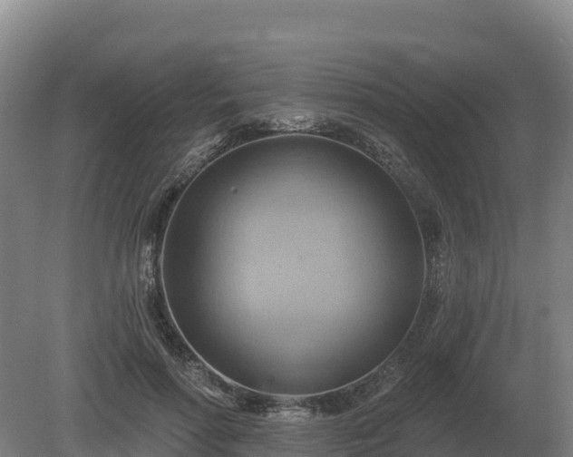 X0000081300598200701181837