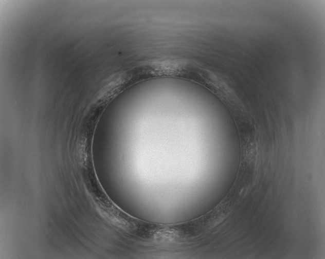 X0000081300599200701181837