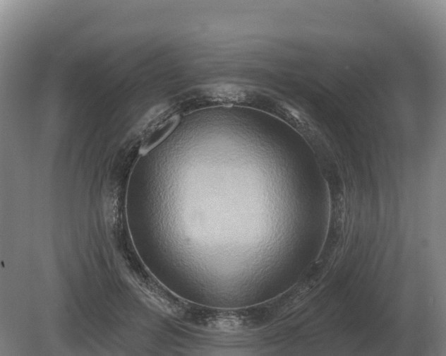 X0000081300600200701181837