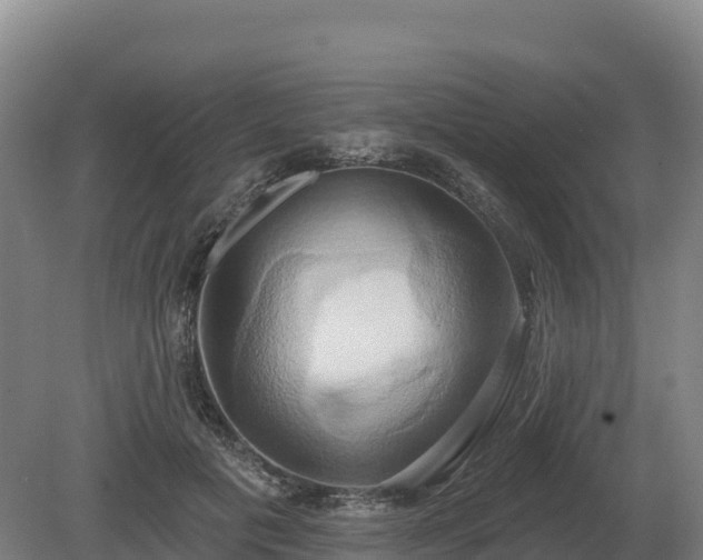 X0000081300601200701181837