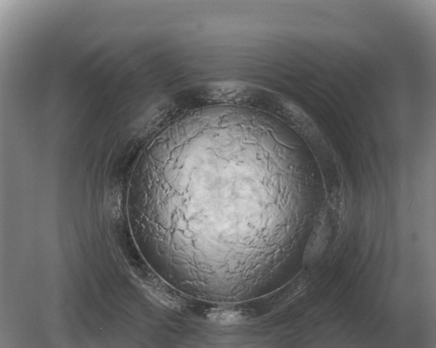 X0000081300602200701181837