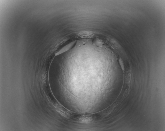 X0000081300604200701181837