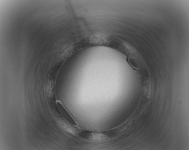 X0000081300605200701181837