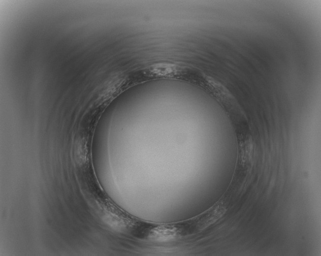 X0000081300606200701181837