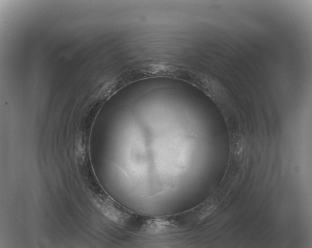 X0000081300607200701181837