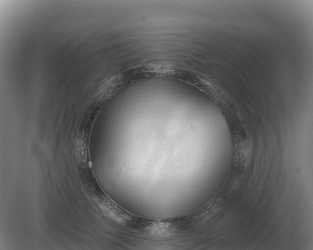 X0000081300609200701181837