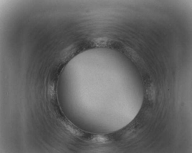 X0000081300610200701181837