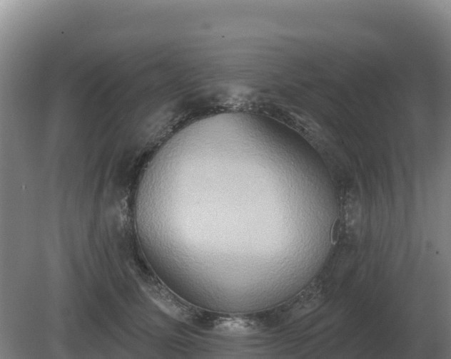 X0000081300611200701181837