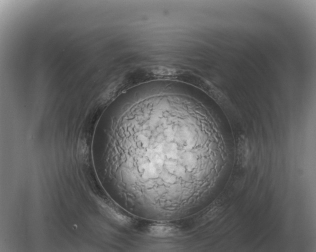 X0000081300614200701181837