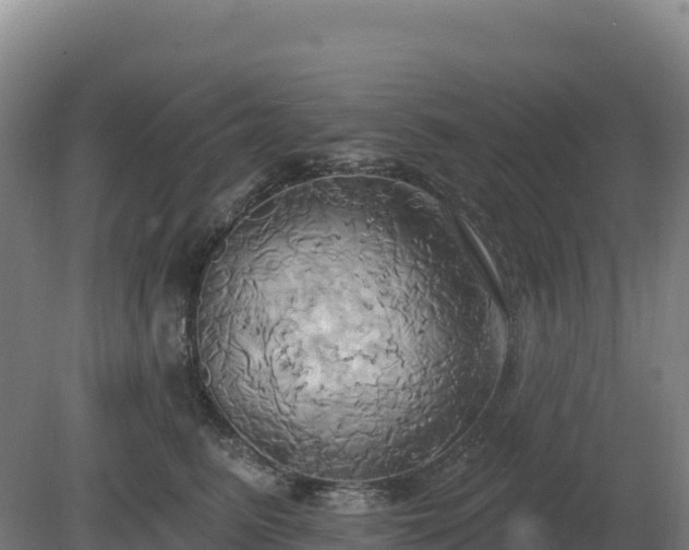 X0000081300615200701181837