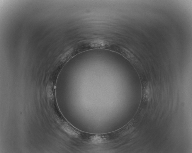 X0000081300616200701181837