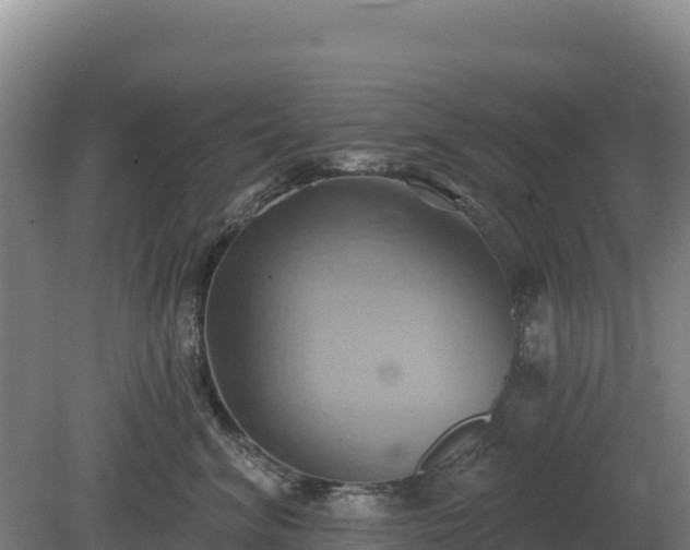 X0000081300620200701181837