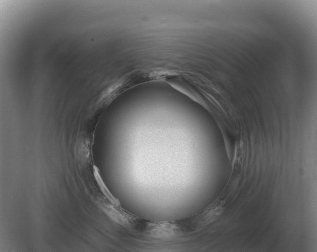 X0000081300621200701181837