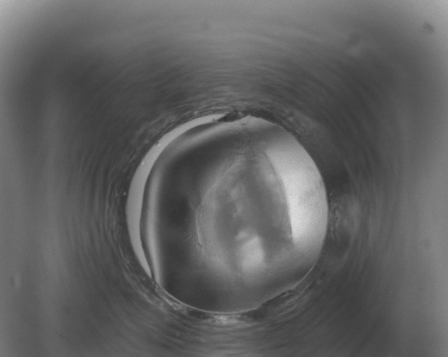 X0000081300623200701181837