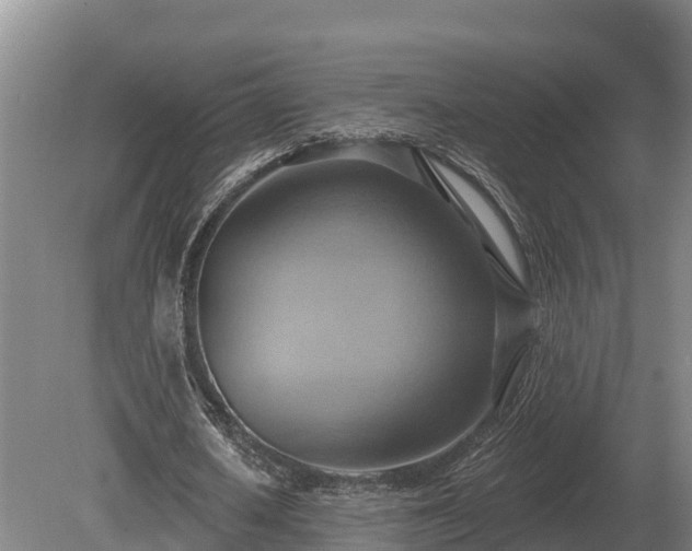 X0000081300626200701181836