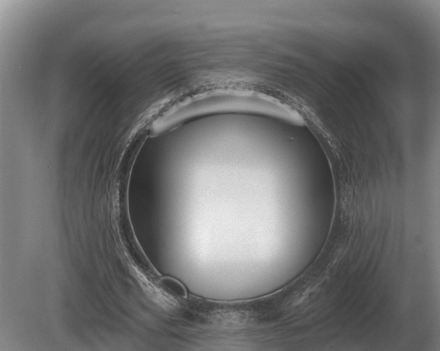 X0000081300629200701181836