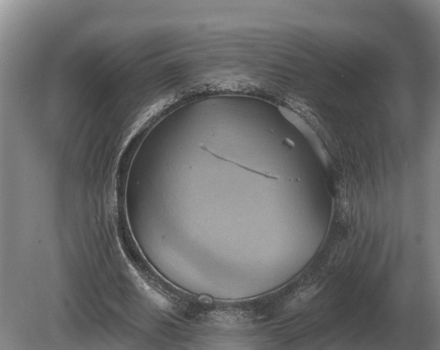 X0000081300630200701181836